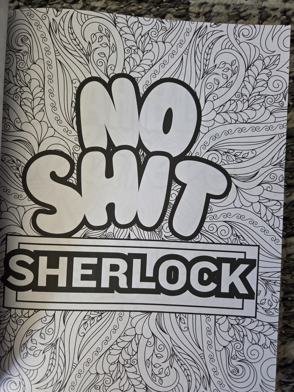 Go Lick a Cactus Adult Swear Words Coloring Book - Pink Green Black Design - Picture 3 of 8